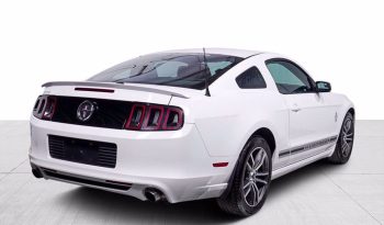 2014 Ford Mustang full